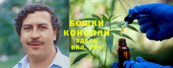 ГАЛЛЮЦИНОГЕННЫЕ ГРИБЫ Магадан